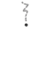 Ethnic and Eclectic